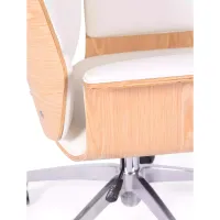 Bürostuhl für den Chef - Bürostühle - Mobelarium