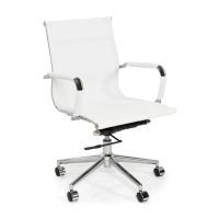 Sedia da ufficio Mesh Lowback Special Edition | Sedia traspirante e regolabile