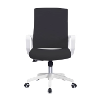 Mesh Ergo Lowback Office Chair in Fiber Mesh