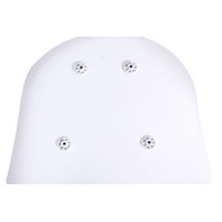 Sedia Daxer Nordic in Legno di Faggio dallo stile nordico