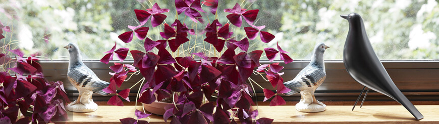 Accessorio James Bird per l'ufficio